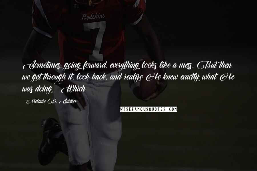 Melanie D. Snitker Quotes: Sometimes, going forward, everything looks like a mess. But then we get through it, look back, and realize He knew exactly what He was doing." "Which