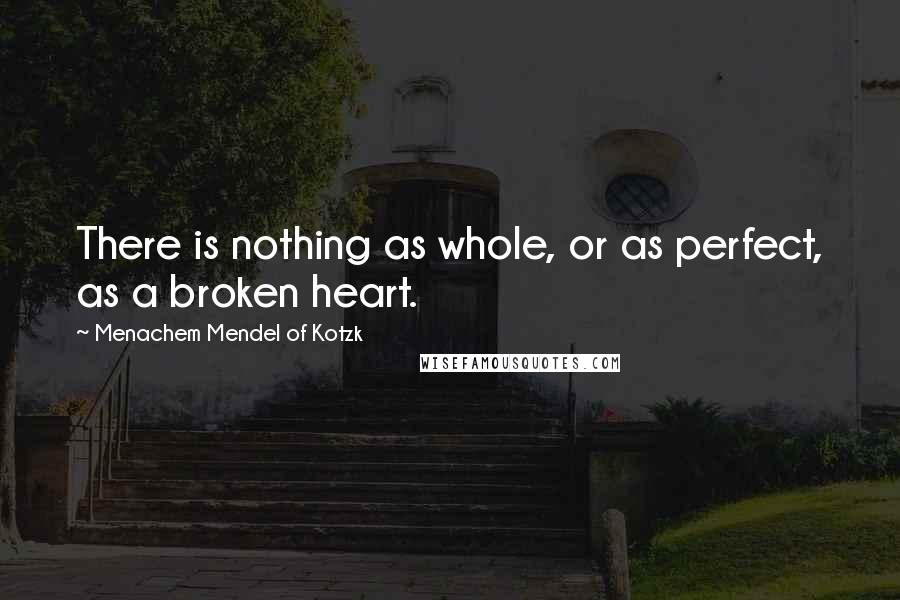 Menachem Mendel Of Kotzk Quotes: There is nothing as whole, or as perfect, as a broken heart.