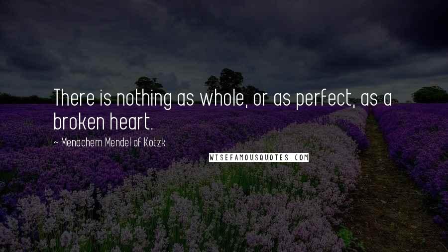 Menachem Mendel Of Kotzk Quotes: There is nothing as whole, or as perfect, as a broken heart.