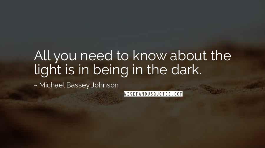 Michael Bassey Johnson Quotes: All you need to know about the light is in being in the dark.