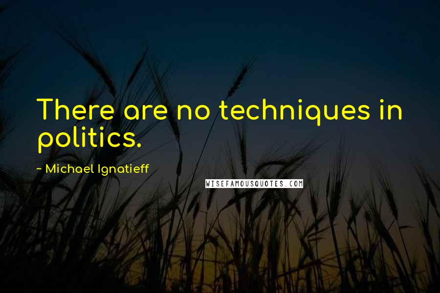 Michael Ignatieff Quotes: There are no techniques in politics.