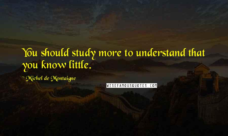 Michel De Montaigne Quotes: You should study more to understand that you know little.