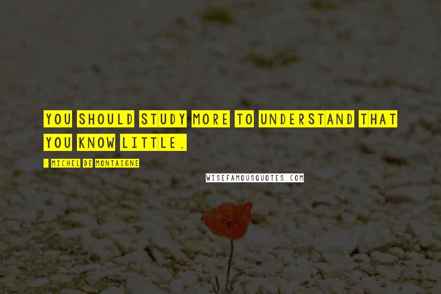 Michel De Montaigne Quotes: You should study more to understand that you know little.