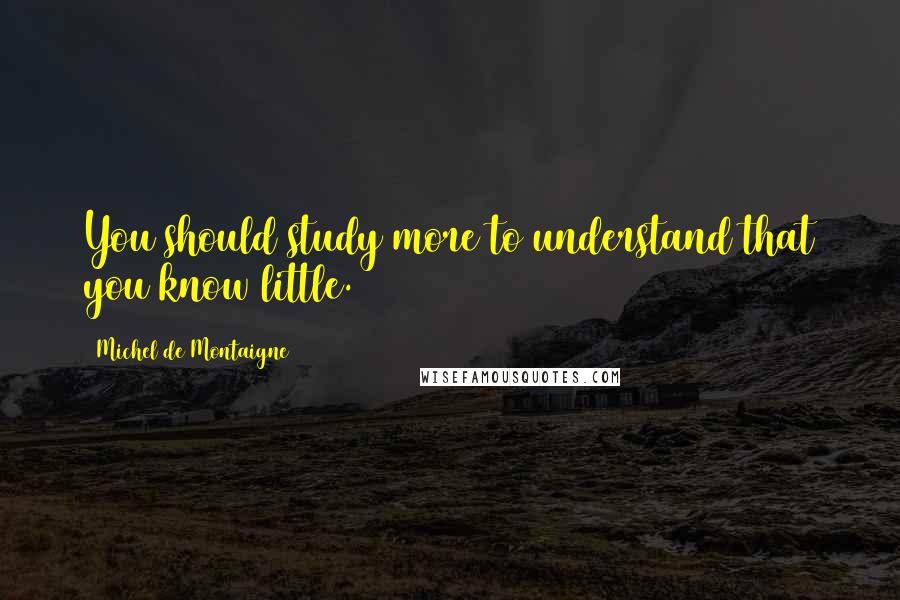 Michel De Montaigne Quotes: You should study more to understand that you know little.