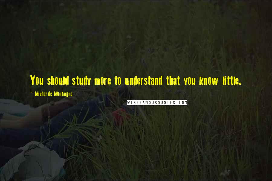 Michel De Montaigne Quotes: You should study more to understand that you know little.