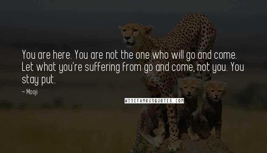 Mooji Quotes: You are here. You are not the one who will go and come. Let what you're suffering from go and come, not you. You stay put.