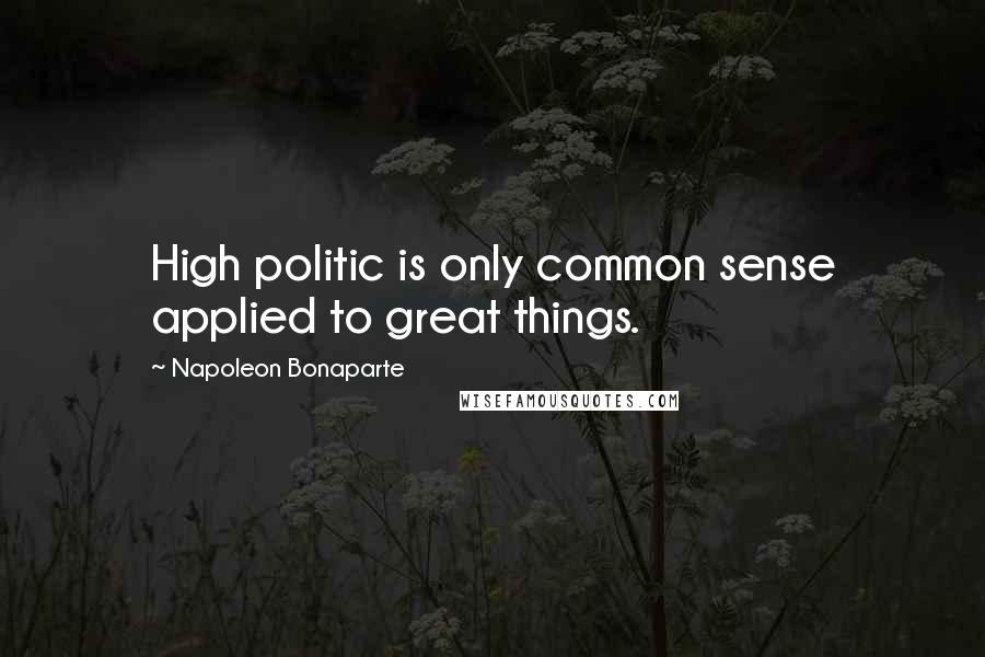 Napoleon Bonaparte Quotes: High politic is only common sense applied to great things.