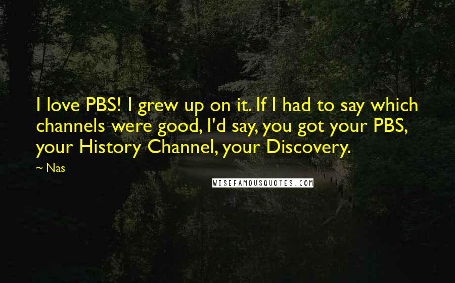 Nas Quotes: I love PBS! I grew up on it. If I had to say which channels were good, I'd say, you got your PBS, your History Channel, your Discovery.