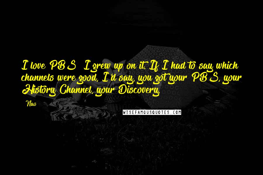 Nas Quotes: I love PBS! I grew up on it. If I had to say which channels were good, I'd say, you got your PBS, your History Channel, your Discovery.