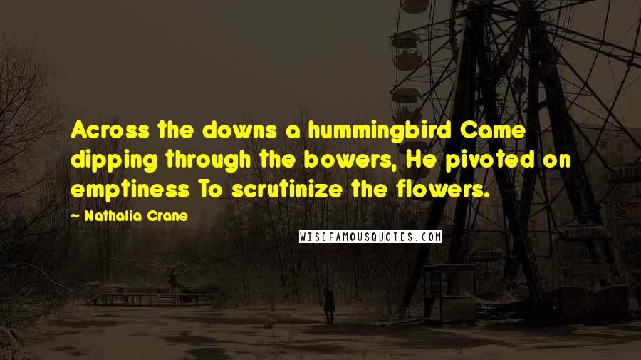 Nathalia Crane Quotes: Across the downs a hummingbird Came dipping through the bowers, He pivoted on emptiness To scrutinize the flowers.