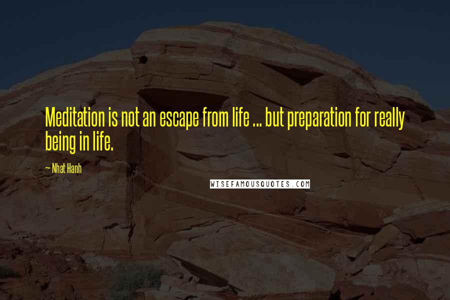 Nhat Hanh Quotes: Meditation is not an escape from life ... but preparation for really being in life.