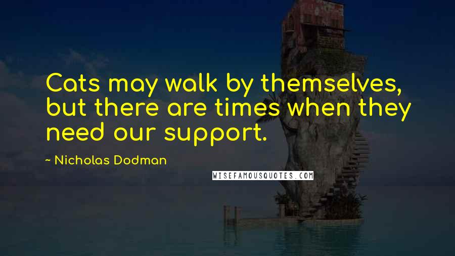 Nicholas Dodman Quotes: Cats may walk by themselves, but there are times when they need our support.