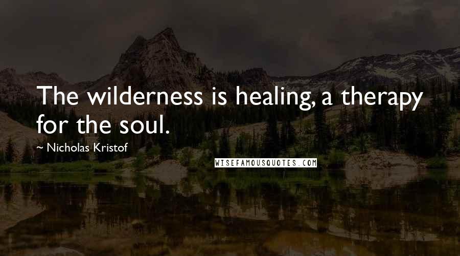 Nicholas Kristof Quotes: The wilderness is healing, a therapy for the soul.