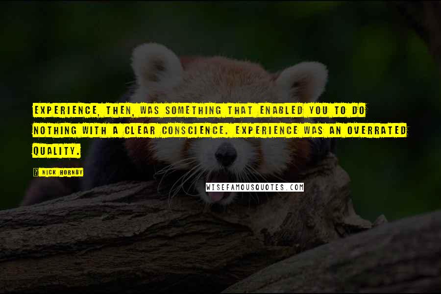 Nick Hornby Quotes: Experience, then, was something that enabled you to do nothing with a clear conscience. Experience was an overrated quality.