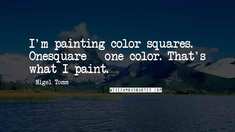 Nigel Tomm Quotes: I'm painting color squares. Onesquare - one color. That's what I paint.