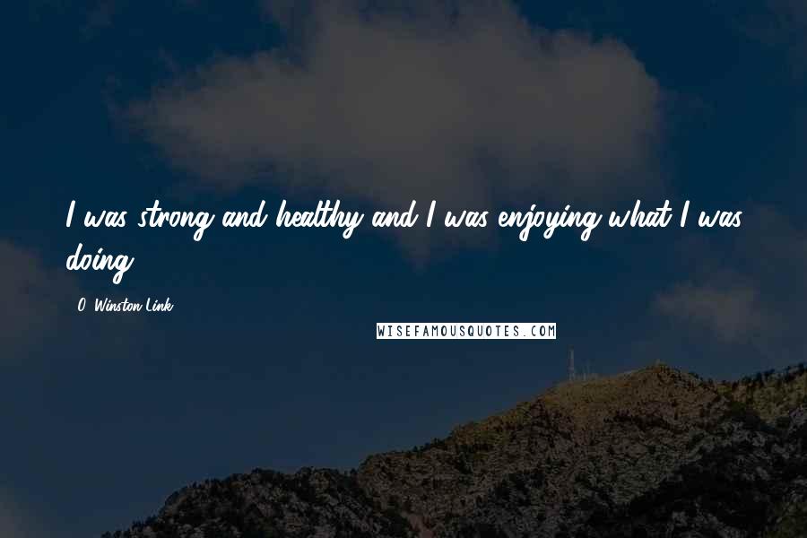 O. Winston Link Quotes: I was strong and healthy and I was enjoying what I was doing.