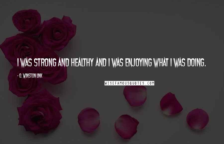 O. Winston Link Quotes: I was strong and healthy and I was enjoying what I was doing.