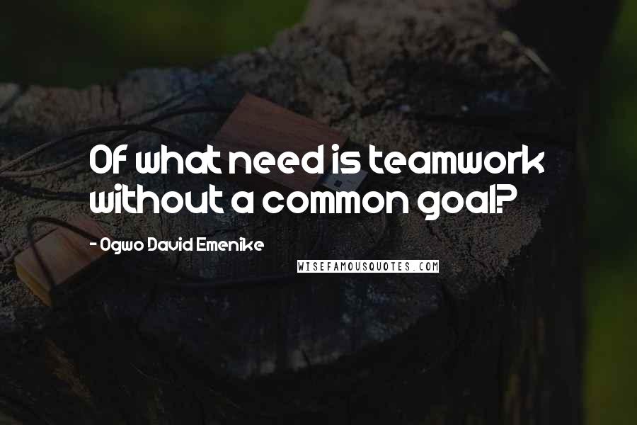 Ogwo David Emenike Quotes: Of what need is teamwork without a common goal?