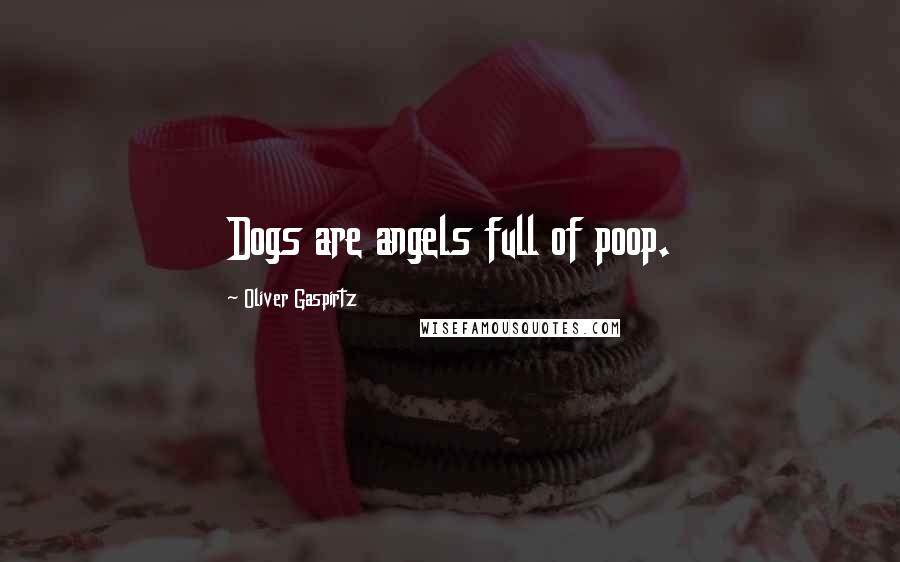 Oliver Gaspirtz Quotes: Dogs are angels full of poop.