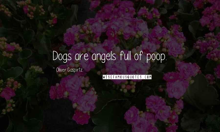 Oliver Gaspirtz Quotes: Dogs are angels full of poop.