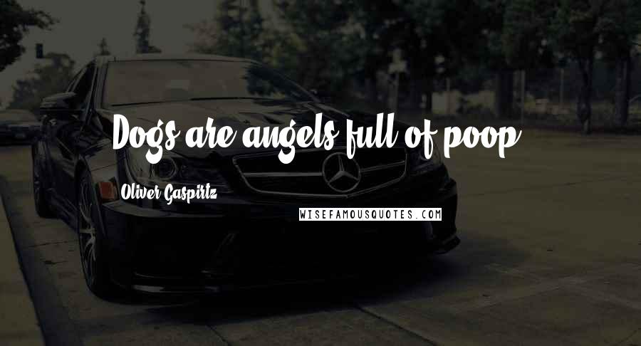 Oliver Gaspirtz Quotes: Dogs are angels full of poop.