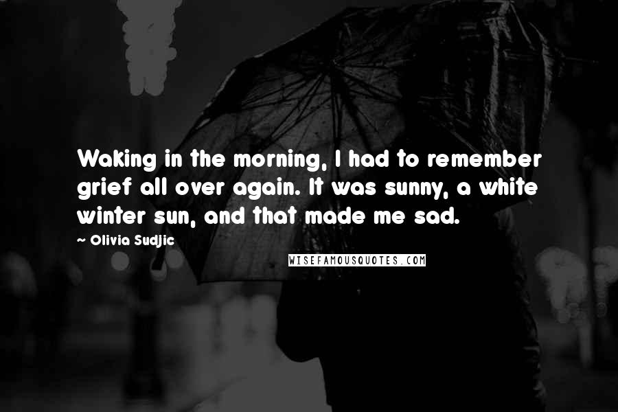 Olivia Sudjic Quotes: Waking in the morning, I had to remember grief all over again. It was sunny, a white winter sun, and that made me sad.