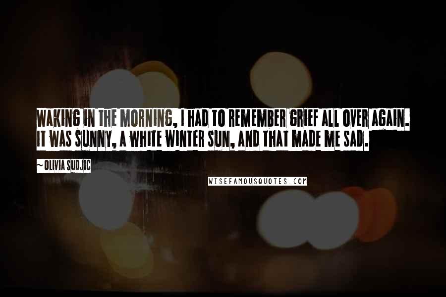 Olivia Sudjic Quotes: Waking in the morning, I had to remember grief all over again. It was sunny, a white winter sun, and that made me sad.