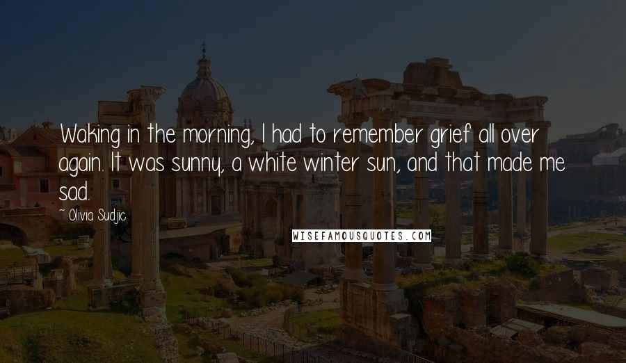 Olivia Sudjic Quotes: Waking in the morning, I had to remember grief all over again. It was sunny, a white winter sun, and that made me sad.