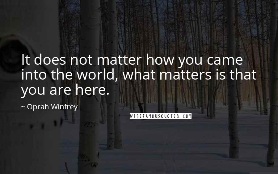 Oprah Winfrey Quotes: It does not matter how you came into the world, what matters is that you are here.