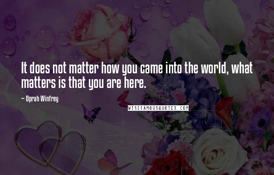 Oprah Winfrey Quotes: It does not matter how you came into the world, what matters is that you are here.