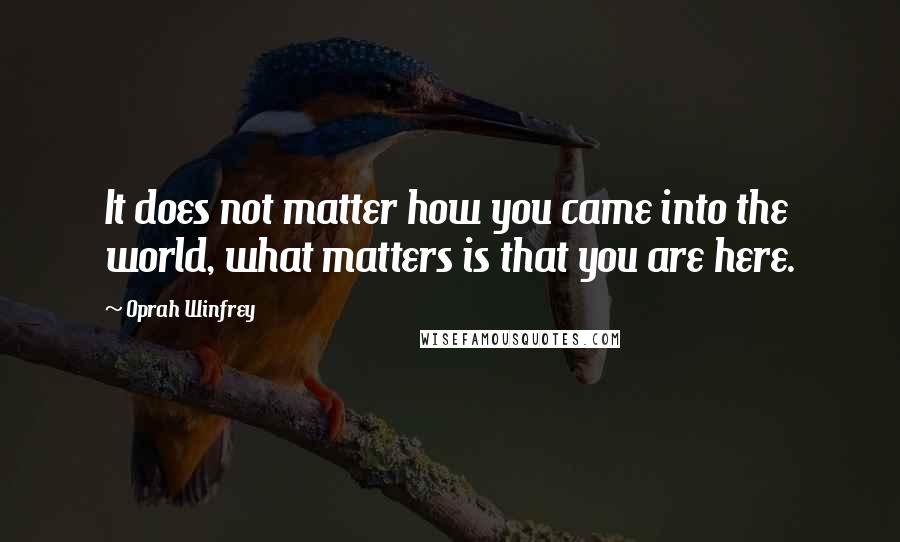 Oprah Winfrey Quotes: It does not matter how you came into the world, what matters is that you are here.