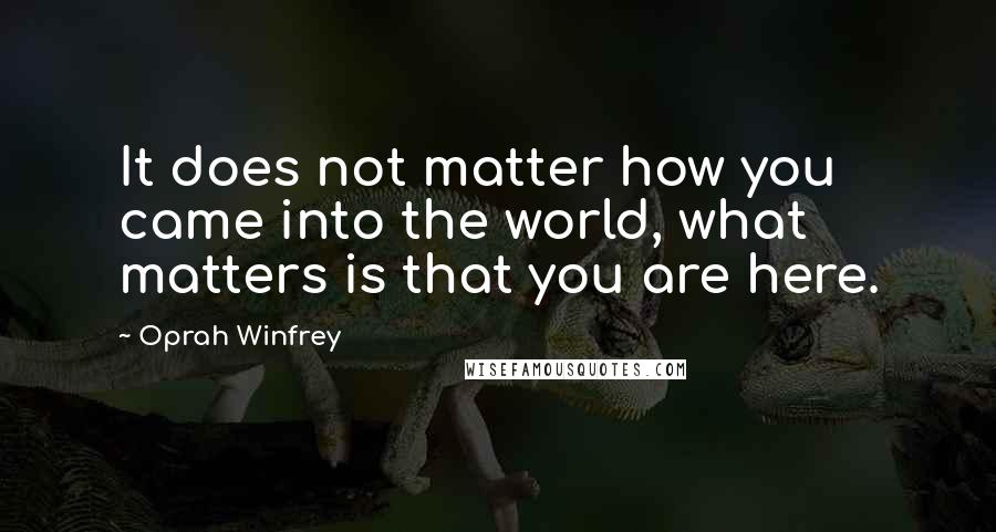 Oprah Winfrey Quotes: It does not matter how you came into the world, what matters is that you are here.