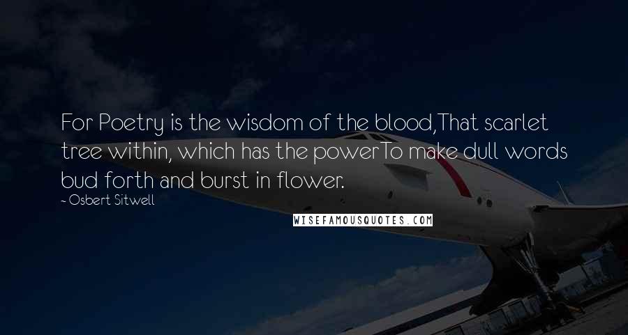 Osbert Sitwell Quotes: For Poetry is the wisdom of the blood,That scarlet tree within, which has the powerTo make dull words bud forth and burst in flower.