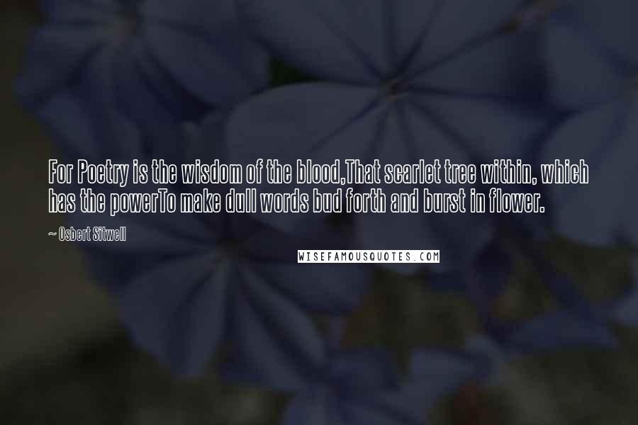 Osbert Sitwell Quotes: For Poetry is the wisdom of the blood,That scarlet tree within, which has the powerTo make dull words bud forth and burst in flower.