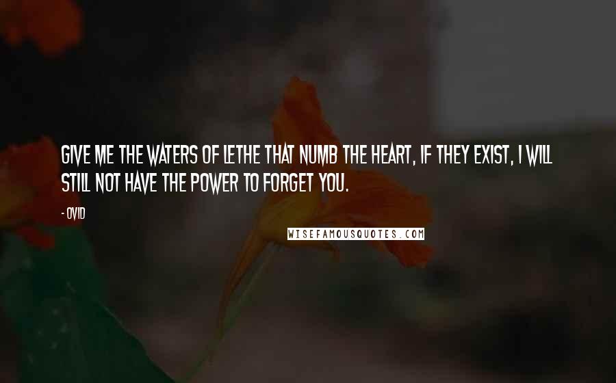 Ovid Quotes: Give me the waters of Lethe that numb the heart, if they exist, I will still not have the power to forget you.