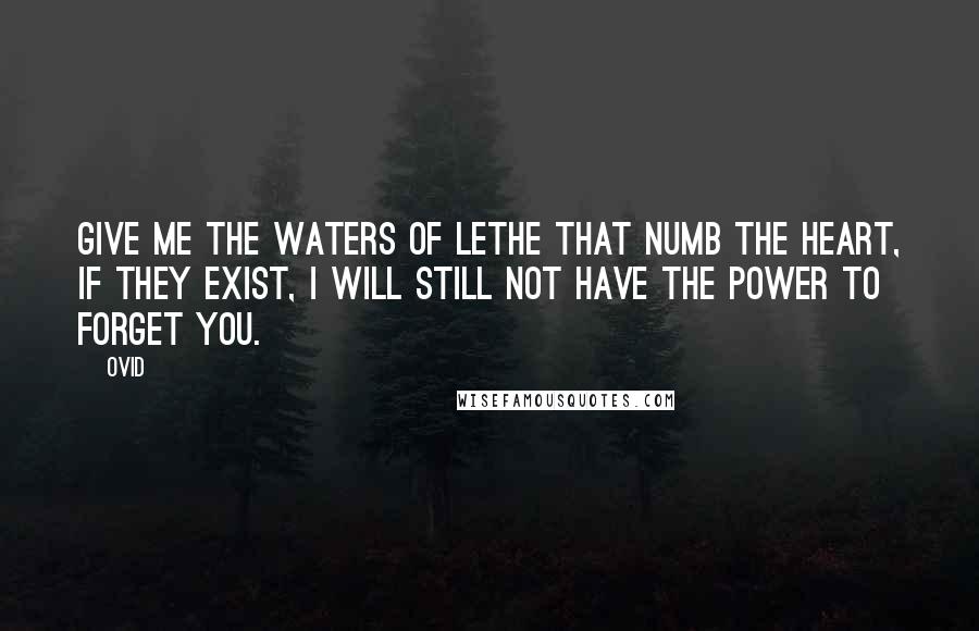 Ovid Quotes: Give me the waters of Lethe that numb the heart, if they exist, I will still not have the power to forget you.