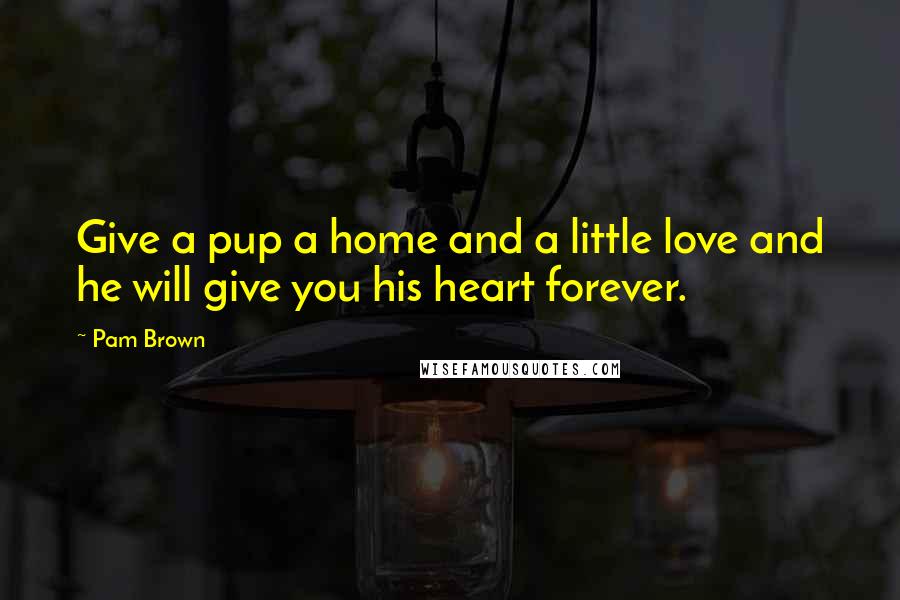 Pam Brown Quotes: Give a pup a home and a little love and he will give you his heart forever.