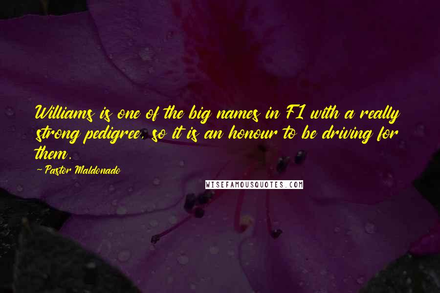 Pastor Maldonado Quotes: Williams is one of the big names in F1 with a really strong pedigree, so it is an honour to be driving for them.