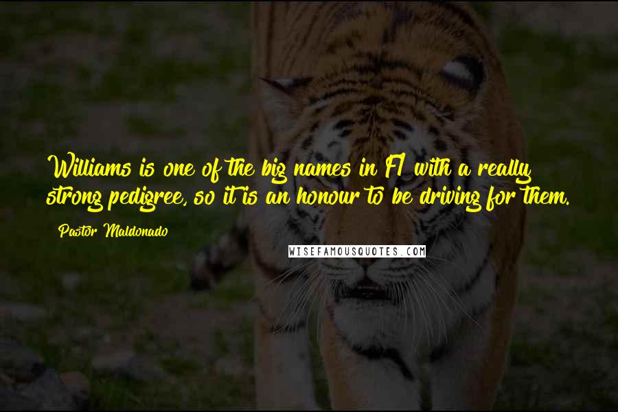 Pastor Maldonado Quotes: Williams is one of the big names in F1 with a really strong pedigree, so it is an honour to be driving for them.