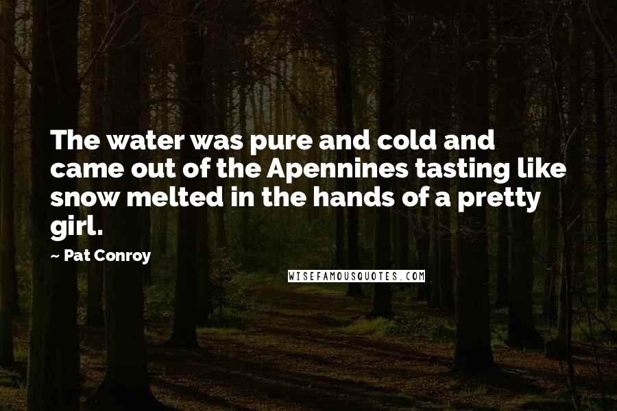 Pat Conroy Quotes: The water was pure and cold and came out of the Apennines tasting like snow melted in the hands of a pretty girl.