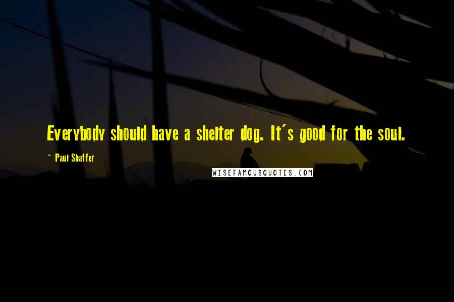 Paul Shaffer Quotes: Everybody should have a shelter dog. It's good for the soul.