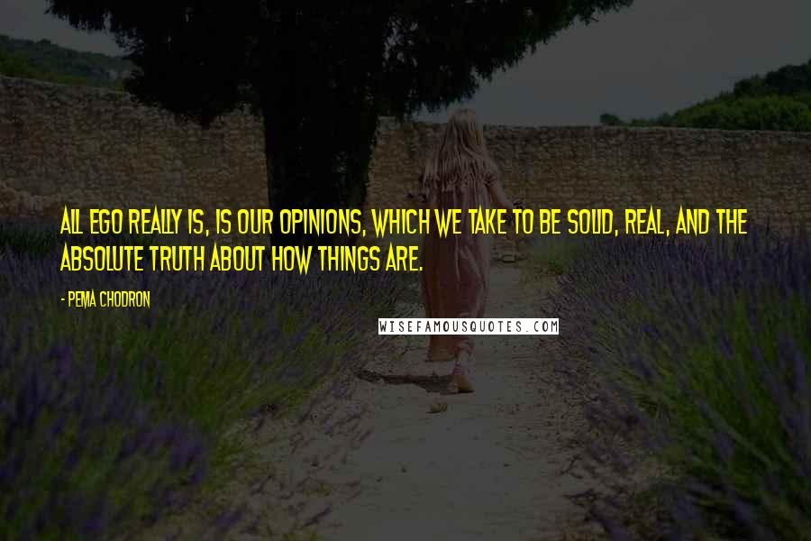 Pema Chodron Quotes: All ego really is, is our opinions, which we take to be solid, real, and the absolute truth about how things are.