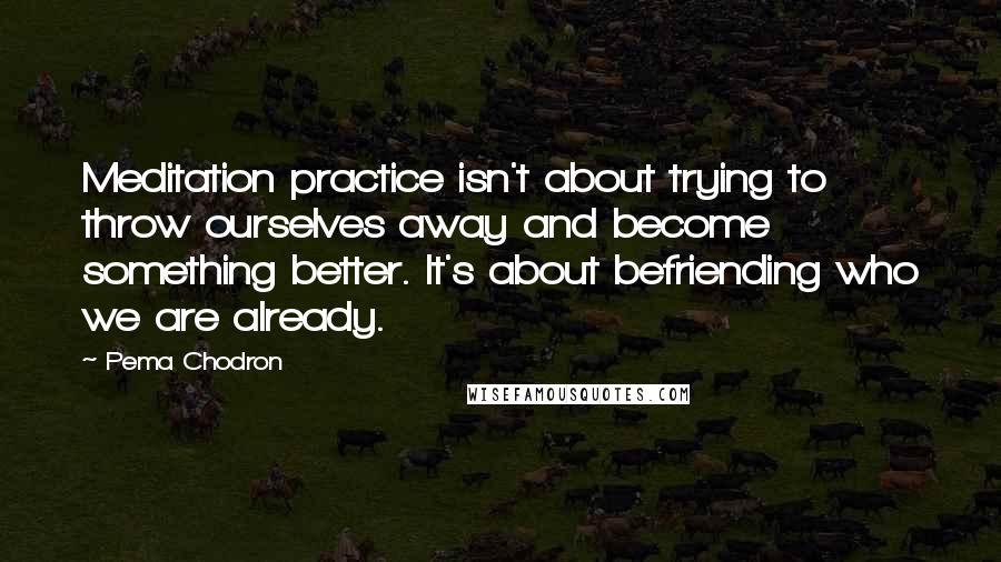 Pema Chodron Quotes: Meditation practice isn't about trying to throw ourselves away and become something better. It's about befriending who we are already.