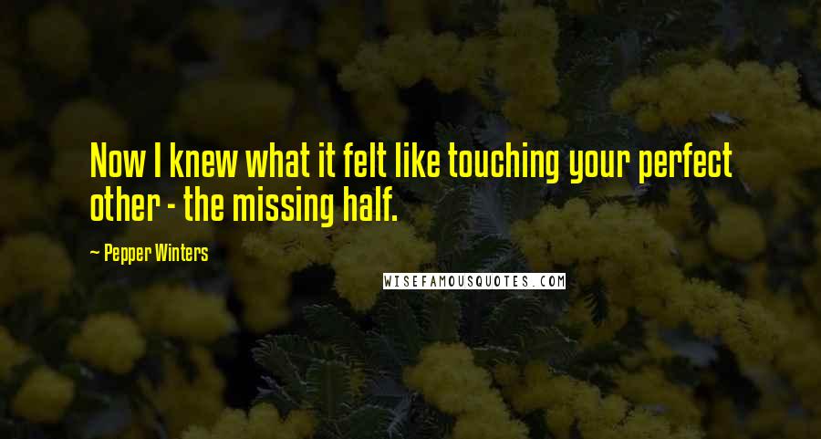 Pepper Winters Quotes: Now I knew what it felt like touching your perfect other - the missing half.