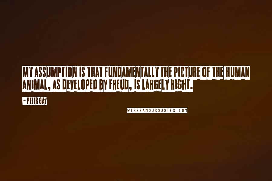 Peter Gay Quotes: My assumption is that fundamentally the picture of the human animal, as developed by Freud, is largely right.