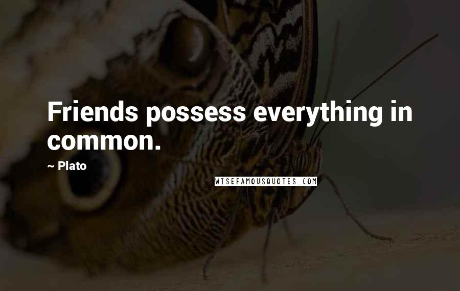 Plato Quotes: Friends possess everything in common.