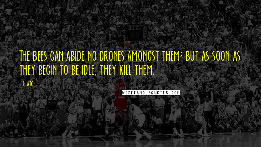 Plato Quotes: The bees can abide no drones amongst them; but as soon as they begin to be idle, they kill them.