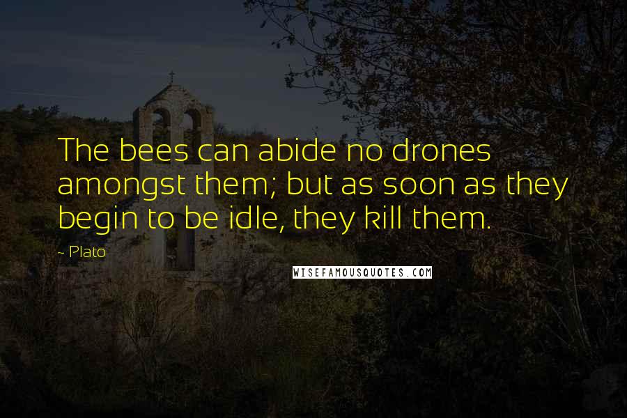 Plato Quotes: The bees can abide no drones amongst them; but as soon as they begin to be idle, they kill them.