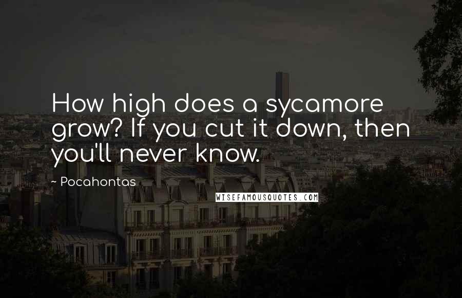 Pocahontas Quotes: How high does a sycamore grow? If you cut it down, then you'll never know.