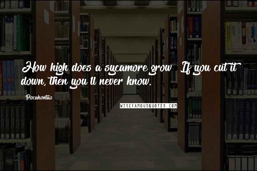 Pocahontas Quotes: How high does a sycamore grow? If you cut it down, then you'll never know.